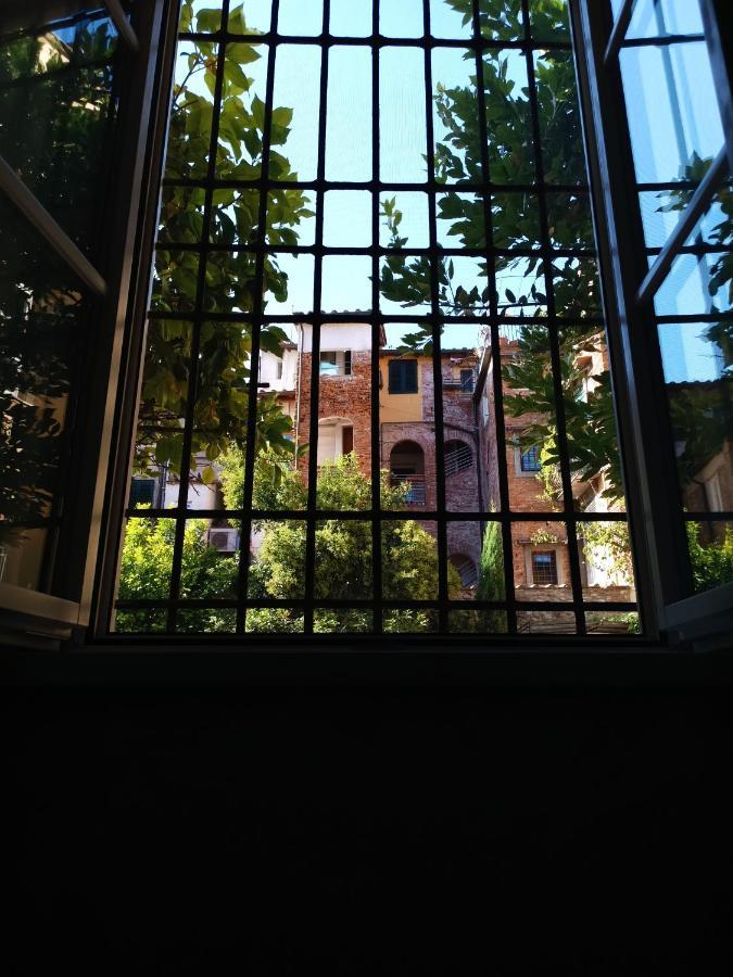 Chill In Tuscany Ground Floor 卢卡 外观 照片